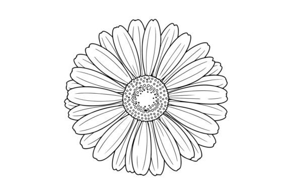 Download Gerbera Flower Drawing, Simple Beauty - Simple Collection